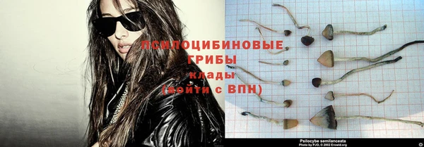 наркотики Белокуриха