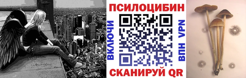 Псилоцибиновые грибы прущие грибы  Верхний Уфалей 